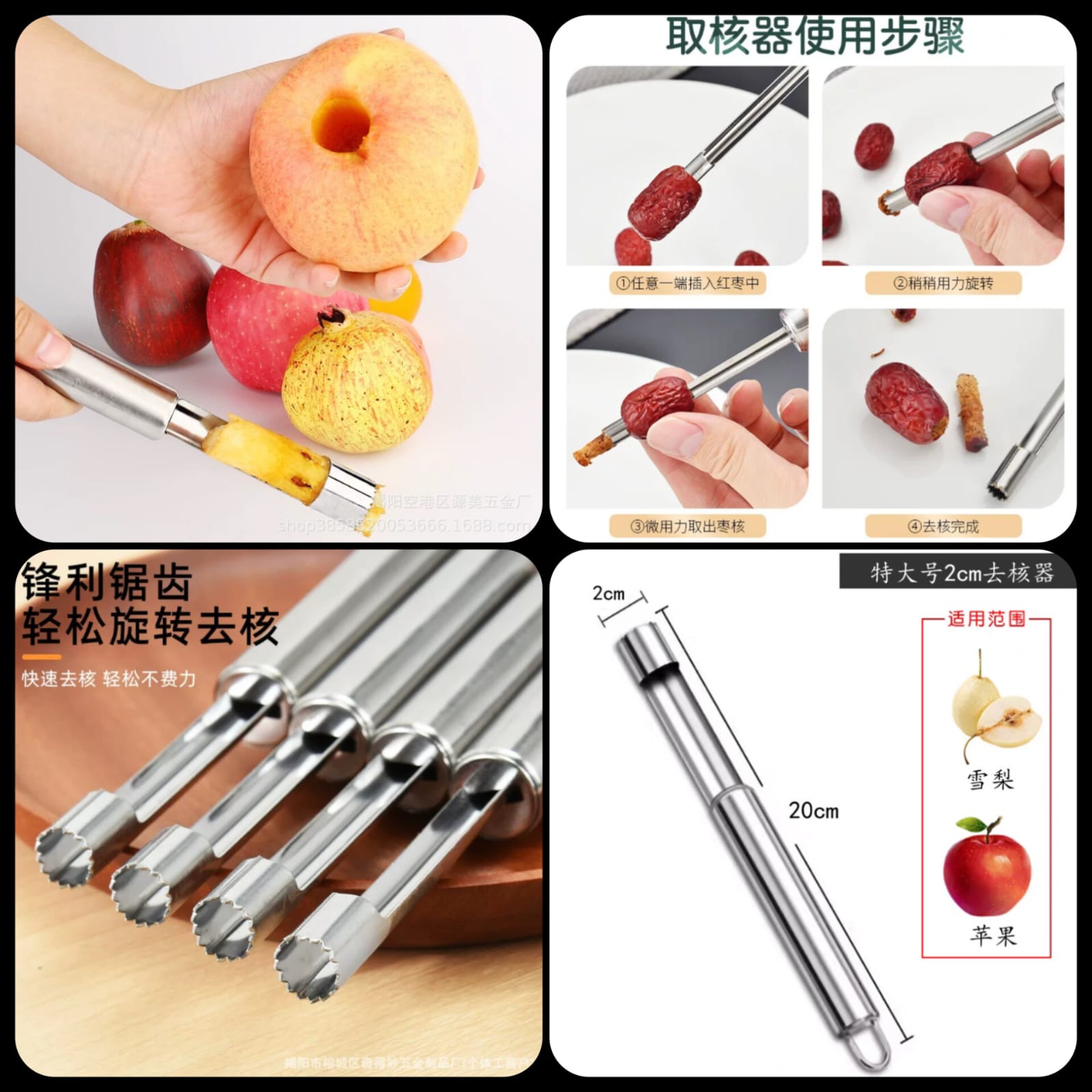 Premium Stainless Steel Fruit Seed Remover & Corer Tool